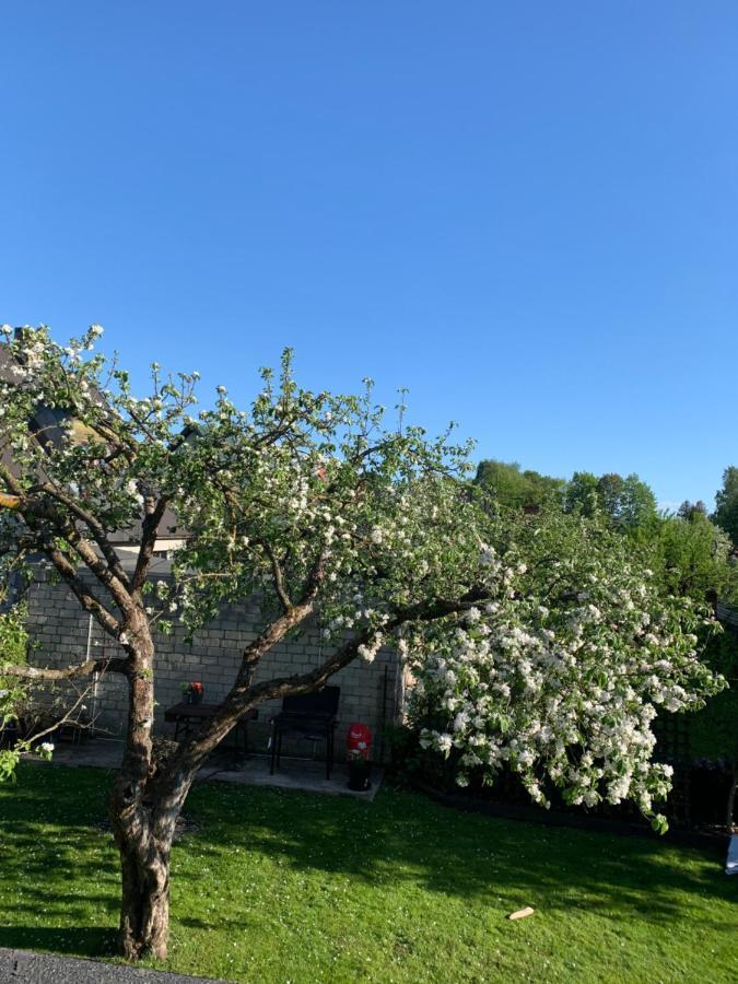 Mooni Cottage 페르누 외부 사진
